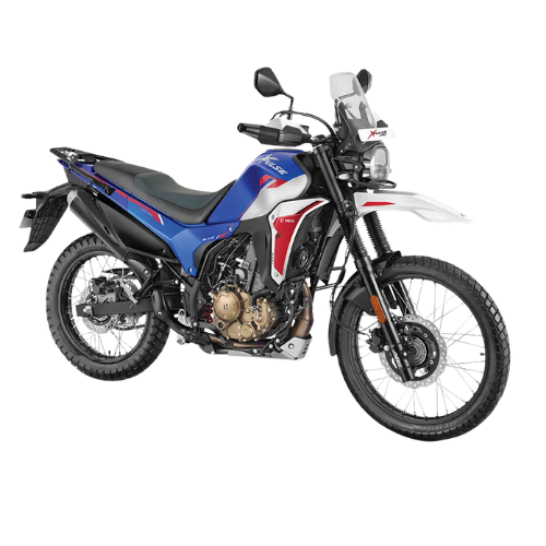 Hero Xpulse 210 available for rent